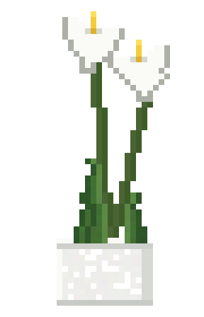 カラー